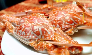 quan-banh-canh-ghe-nguyen-tri-phuong-slide-4