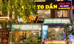 Slide - Chim - to - dần - 1 