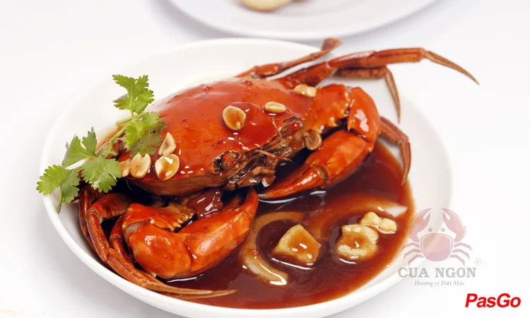 slide-cua-ngon-nguyen-thai-binh-2