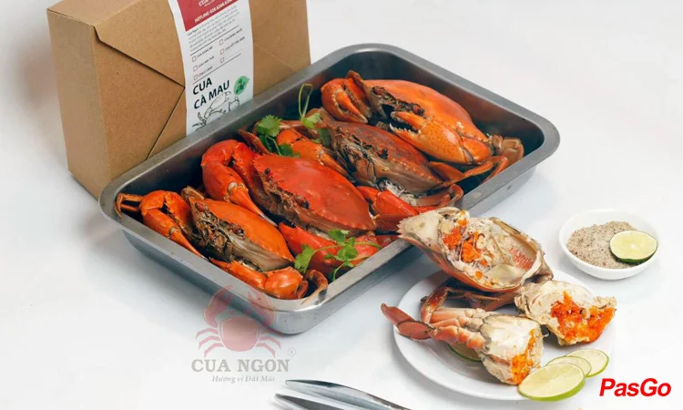 slide-cua-ngon-nguyen-thai-binh-6