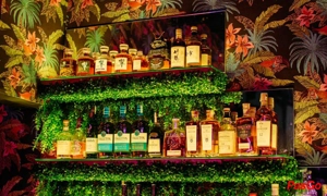 Slide eden 6
