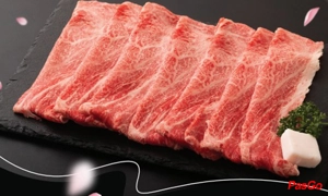 slide nabemono nguyễn quang bích 5