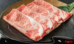 slide nabemono nguyễn quang bích 6