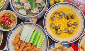 Ốc Bắc Lý Tự Trọng 2
