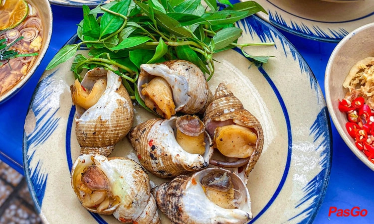 Ốc Bắc Lý Tự Trọng 7