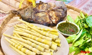 Thái Tộc Quán Linh Đàm 3
