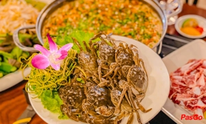 thai-tuan-khuc-thua-du-6