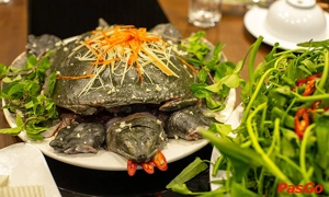 thao-nguyen-xanh-restaurant-vo-nguyen-giap-1
