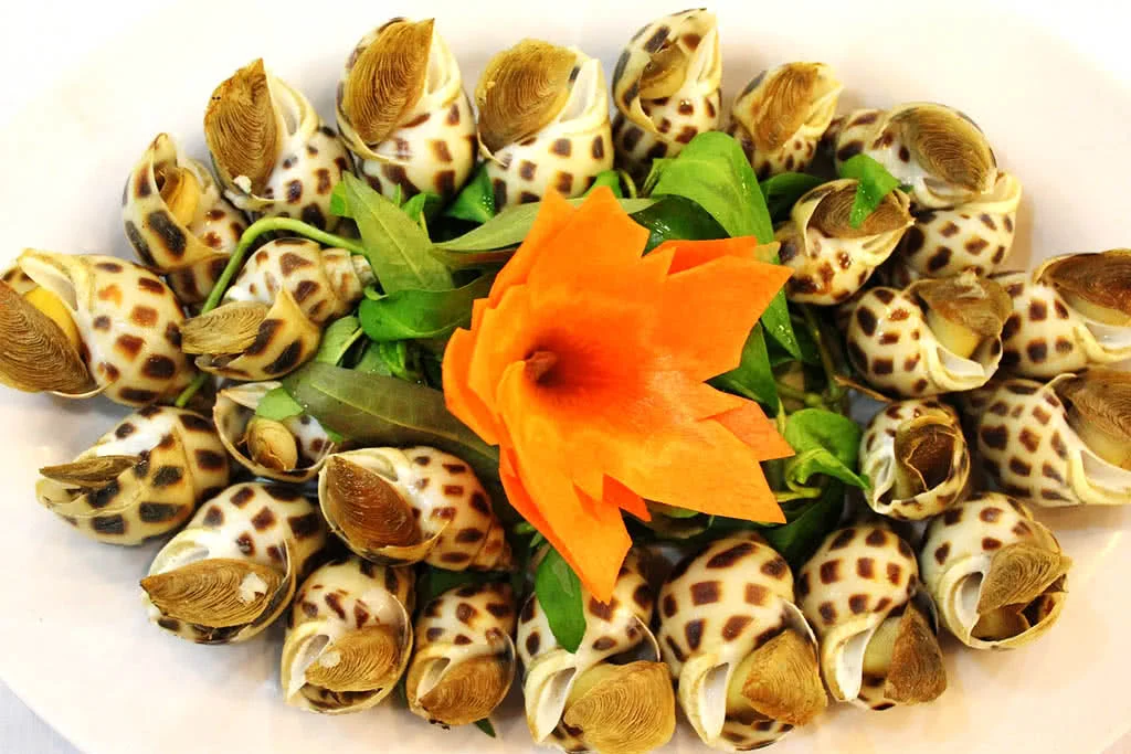 thuyen-buom-don-gian-la-phong-cach-3