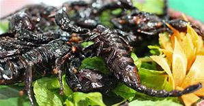 Khám phá các quán ăn ngon - độc - lạ, nổi tiếng nhất ở Hà Nội