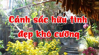 canh-dep--mon-ngon-mien-son-cuoc-kho-cuong--tu-rum-quan-den-pao-quan-pasgo